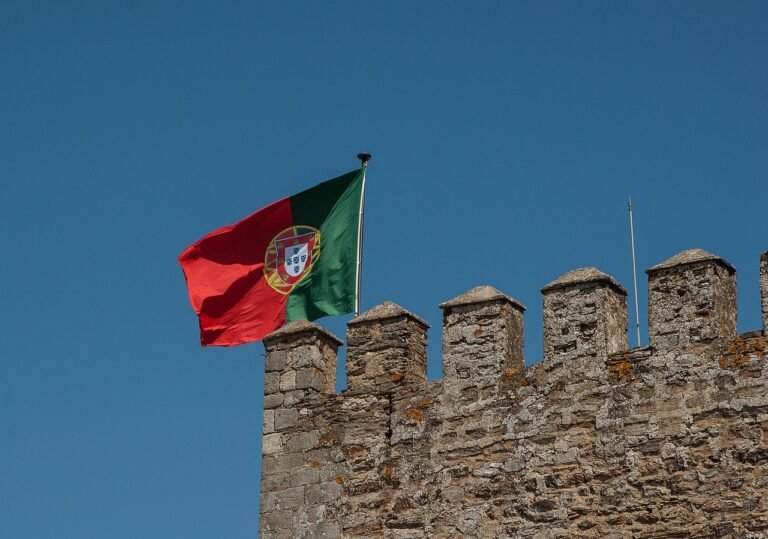 manifestação de interesse portugal